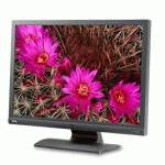 монитор BenQ FP91G+ u
