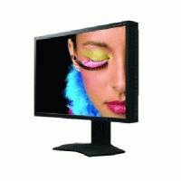 NEC L231V1