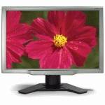 монитор Acer AL2423WB