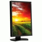 NEC P241W Black