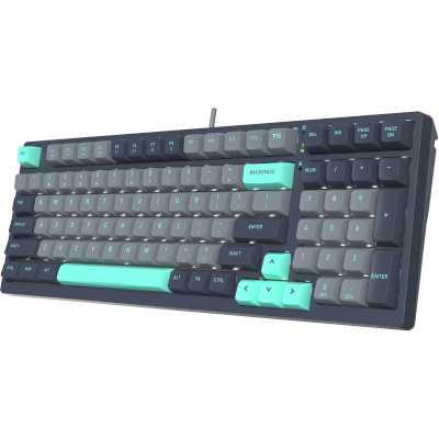 клавиатура A4Tech Fstyler FS300 Panda Rock