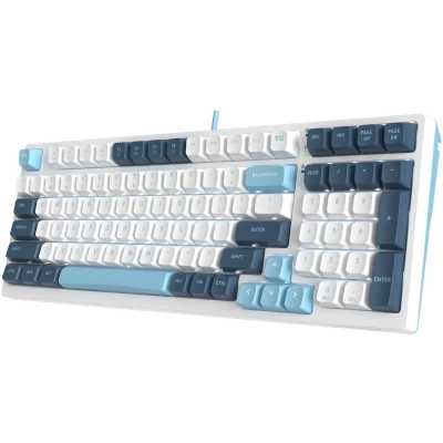 клавиатура A4Tech Fstyler FS300 Panda Snowboarding