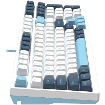 A4Tech Fstyler FS300 Panda Snowboarding