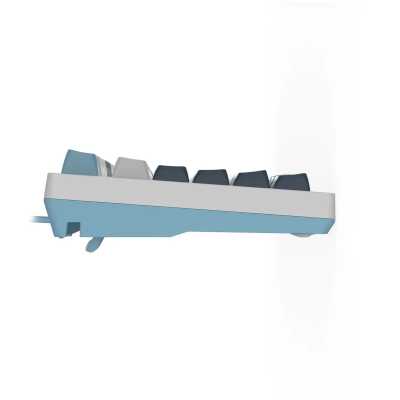 клавиатура A4Tech Fstyler FS300 Panda Snowboarding