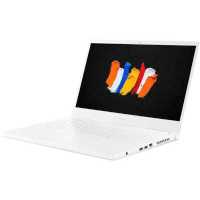 ноутбук Acer ConceptD 3 CN315-72G-596H