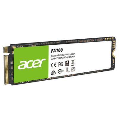 Acer FA100 256Gb BL.9BWWA.118