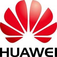 адаптер Huawei 02310YMJ