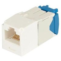 Panduit CJ6X88TGAW_RES