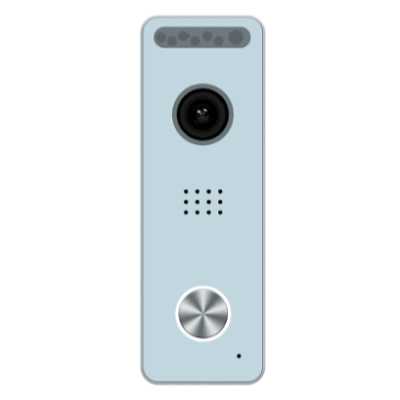 вызывная панель AltCam VP2k2i