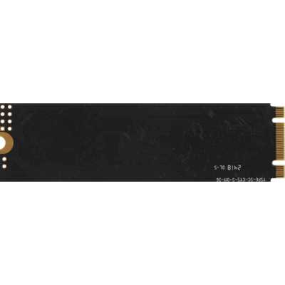 AMD Radeon R3 Series 256Gb R3MS0256G8