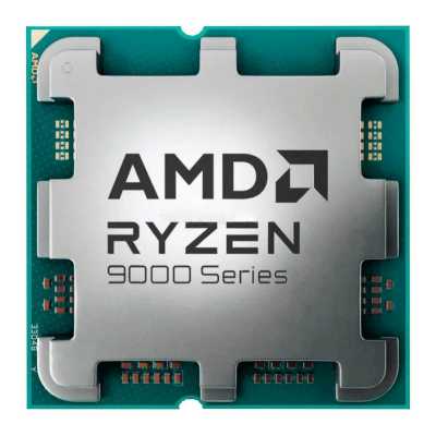 AMD Ryzen 9 9900X OEM