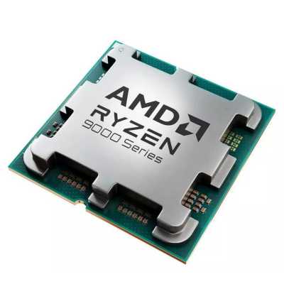 AMD Ryzen 9 9900X OEM