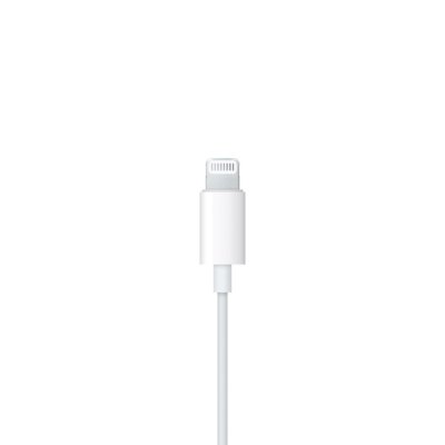 Apple EarPods MMTN2AM/A