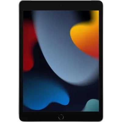 Apple iPad 2021 10.2 Wi-Fi+Cellular 256Gb Silver MK4H3ZP/A