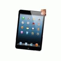 Apple iPad mini 16GB MD528TU/A