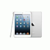 Apple iPad mini 64GB MD533TU/A