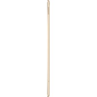 Apple iPad Pro 12.9 2017 256Gb Wi-Fi+Cellular MPA62RU/A