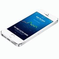 смартфон Apple iPhone 5s ME439RU/A