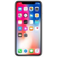 смартфон Apple iPhone X MQAC2RU/A