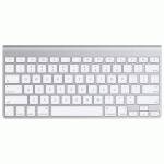 клавиатура Apple MB167RS