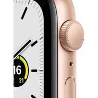 Apple Watch SE MKQ53RU/A