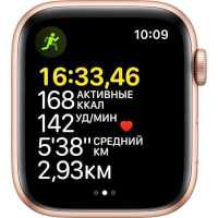 Apple Watch SE MKQ53ZP/A