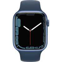 умные часы Apple Watch Series 7 MKN83ZP/A