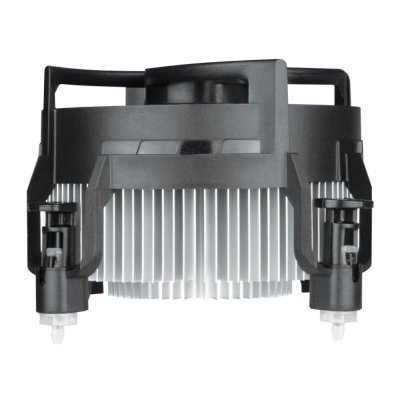 Arctic Alpine 17 ACALP00040A