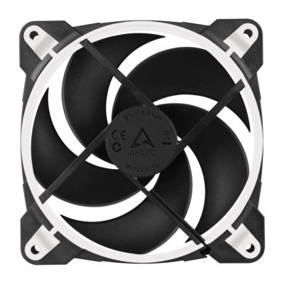 Arctic BioniX P120 White