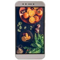 смартфон Ark Benefit M551 Gold