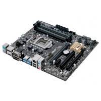 ASUS B150M-C D3