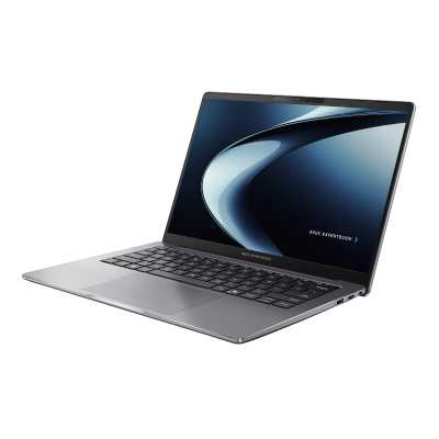 ASUS ExpertBook P3 P3405CVA-LY0251 90NX08E1-M009E0