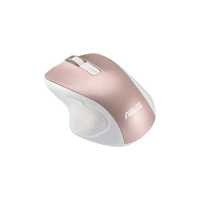 ASUS MW202 White-Gold 90XB066N-BMU020