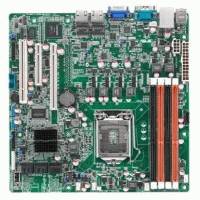 материнская плата ASUS P8B-MX