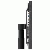 ASUS PA249Q