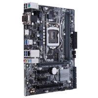 материнская плата ASUS Prime B250M-D