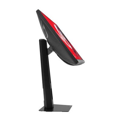 монитор ASUS ROG Strix XG248QSG