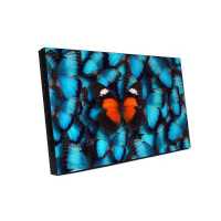 панель для видеостены Barco OverView LVD5521B