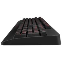 BenQ Zowie Celeritas II