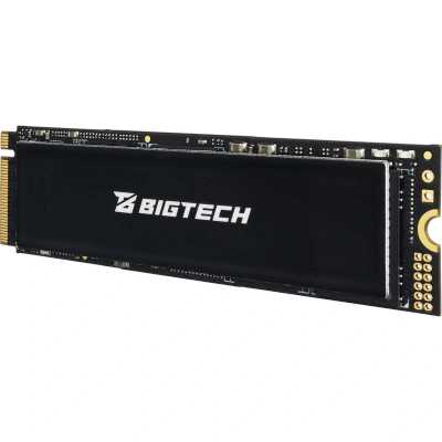 BigTech 1Tb BSDS1000M4E