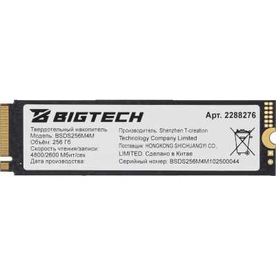 BigTech 256Gb BSDS256M4M