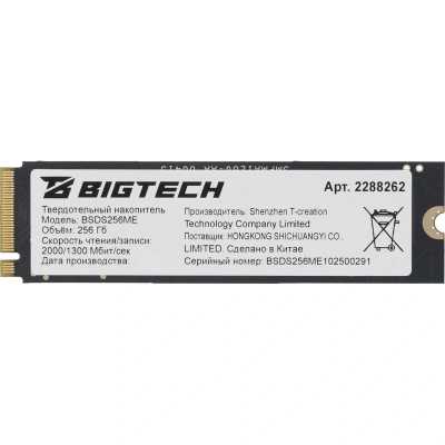 BigTech 256Gb BSDS256ME