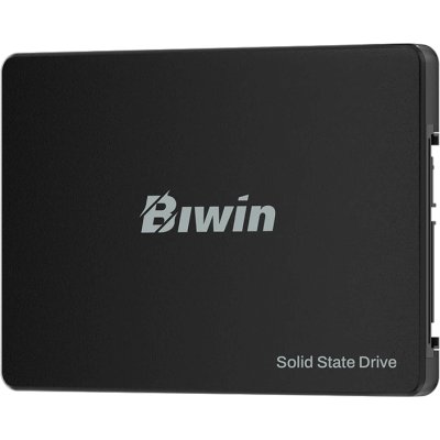 Biwin M100 1Tb BM100NN01TB-RGX