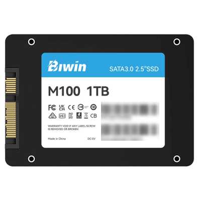 SSD диск Biwin M100 1Tb BM100NN01TB-RGX