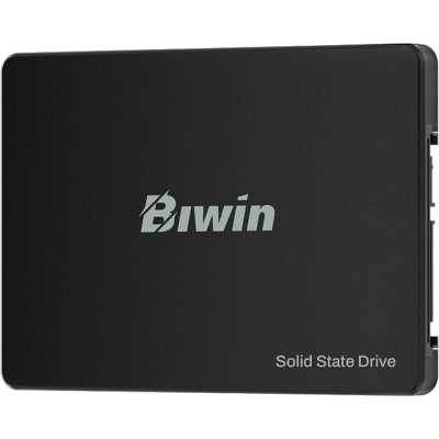 Biwin M100 256Gb BM100NN256G-RGX