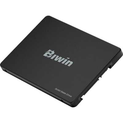 SSD диск Biwin M100 256Gb BM100NN256G-RGX