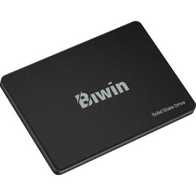 Biwin M100 256Gb BM100NN256G-RGX