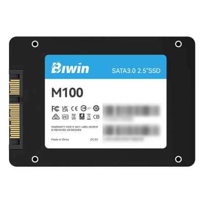 SSD диск Biwin M100 256Gb BM100NN256G-RGX