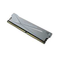 оперативная память BiwinTech DX500 B14BU8G53618CR-GAL