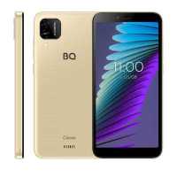 BQ 5765L Clever Gold